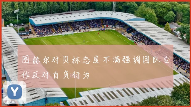 图赫尔对贝林态度不满强调团队合作反对自负行为