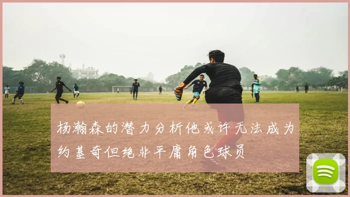 杨瀚森的潜力分析他或许无法成为约基奇但绝非平庸角色球员