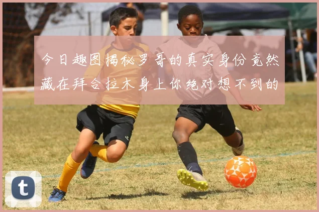 今日趣图揭秘罗哥的真实身份竟然藏在拜合拉木身上你绝对想不到的真相