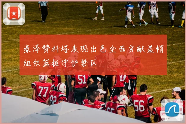 豪泽赞科塔表现出色全面贡献盖帽组织篮板守护禁区
