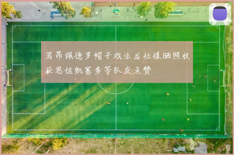 若昂佩德罗帽子戏法后社媒晒照收获恩佐凯塞多等队友点赞